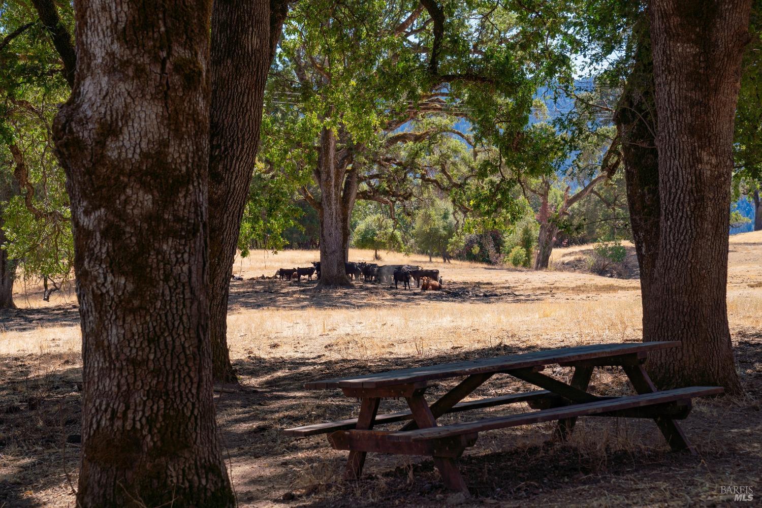 58380 Highway 162 Dos Rios, CA 95429 - Photo 25 of 62