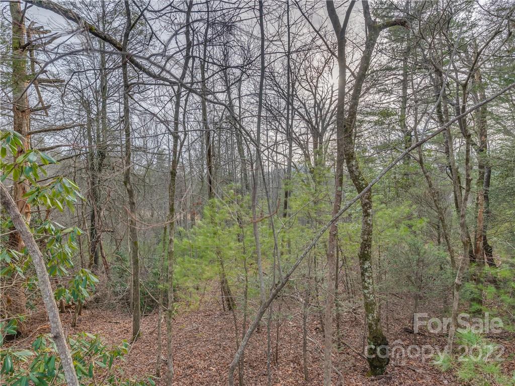 490 Maybank Road, Unit B Saluda, NC 28773 - Photo 1 of 14 Gallery Image 1