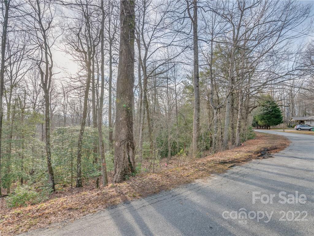 490 Maybank Road, Unit B Saluda, NC 28773 - Photo 11 of 14 Gallery Image 11