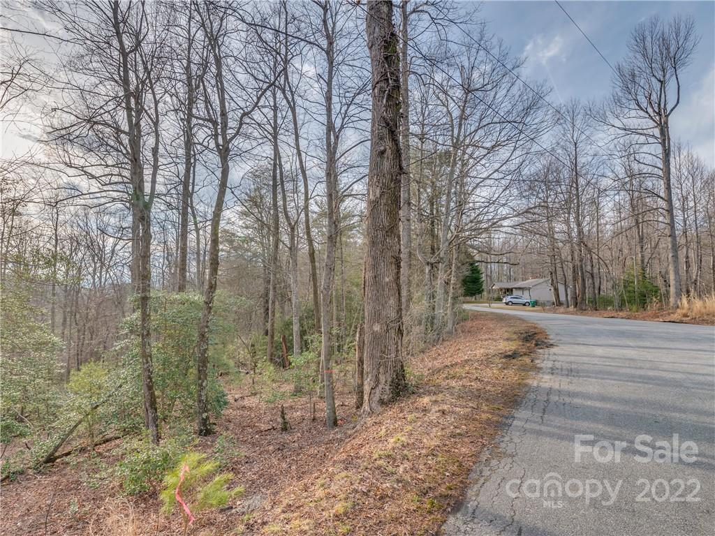 490 Maybank Road, Unit B Saluda, NC 28773 - Photo 14 of 14 Gallery Image 14