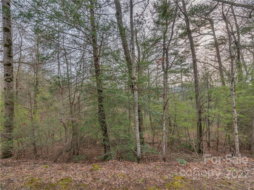 490 Maybank Road, Unit B Saluda, NC 28773 - Photo 2 of 14 Gallery Image 2