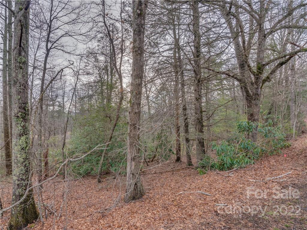 490 Maybank Road, Unit B Saluda, NC 28773 - Photo 3 of 14 Gallery Image 3