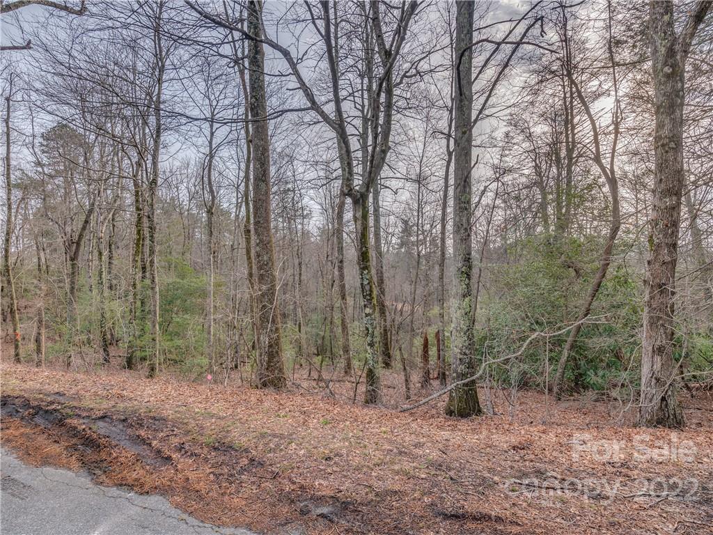 490 Maybank Road, Unit B Saluda, NC 28773 - Photo 4 of 14 Gallery Image 4
