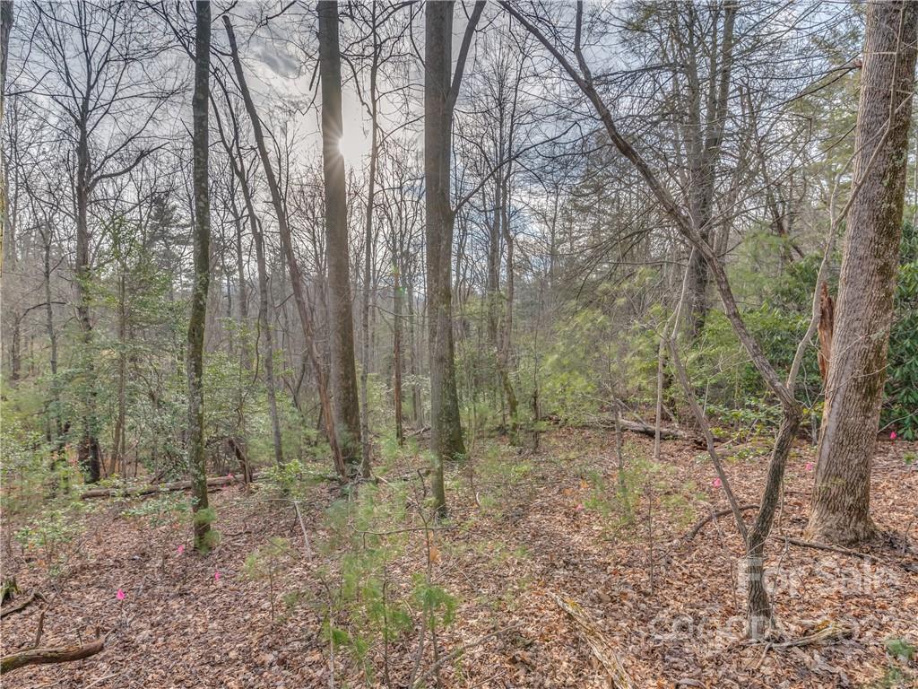 490 Maybank Road, Unit B Saluda, NC 28773 - Photo 6 of 14 Gallery Image 6