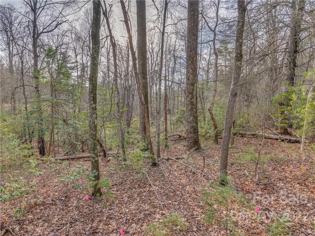 490 Maybank Road, Unit B Saluda, NC 28773 - Photo 7 of 14 Gallery Image 7