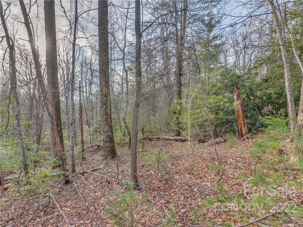 490 Maybank Road, Unit B Saluda, NC 28773 - Photo 8 of 14 Gallery Image 8