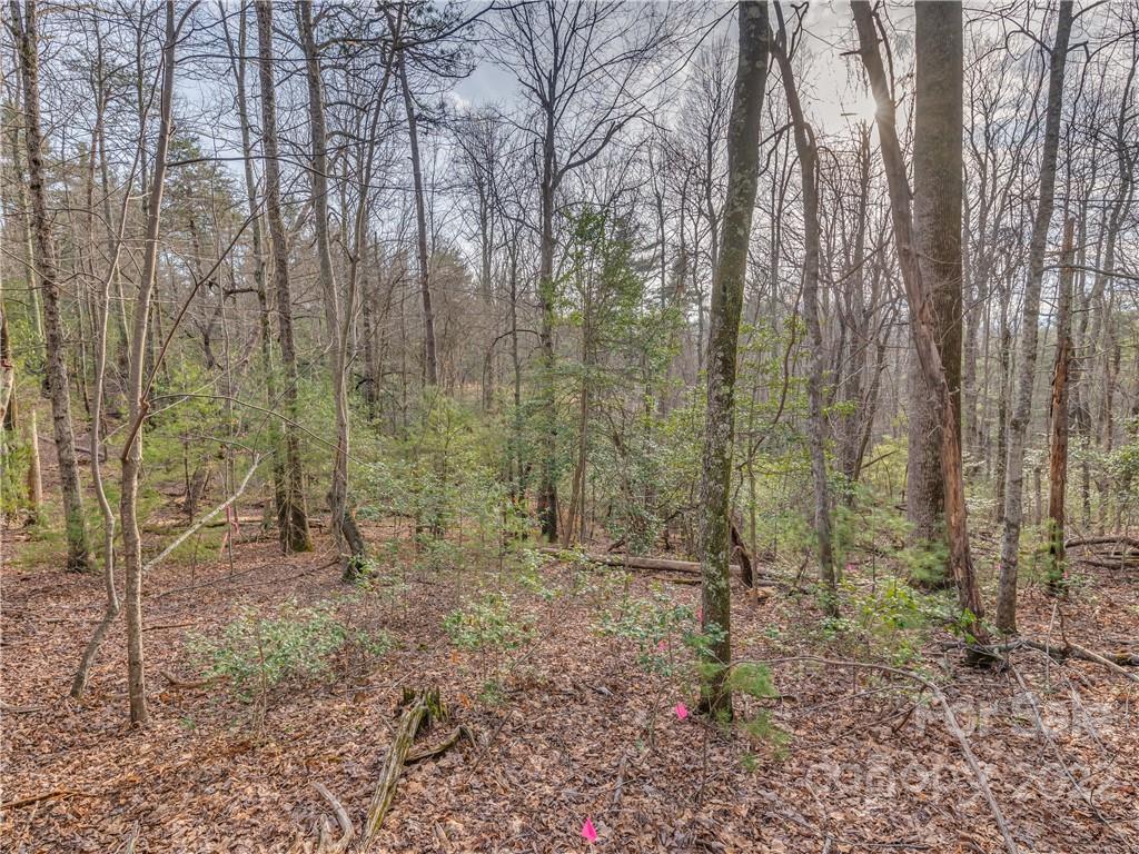 490 Maybank Road, Unit B Saluda, NC 28773 - Photo 9 of 14 Gallery Image 9