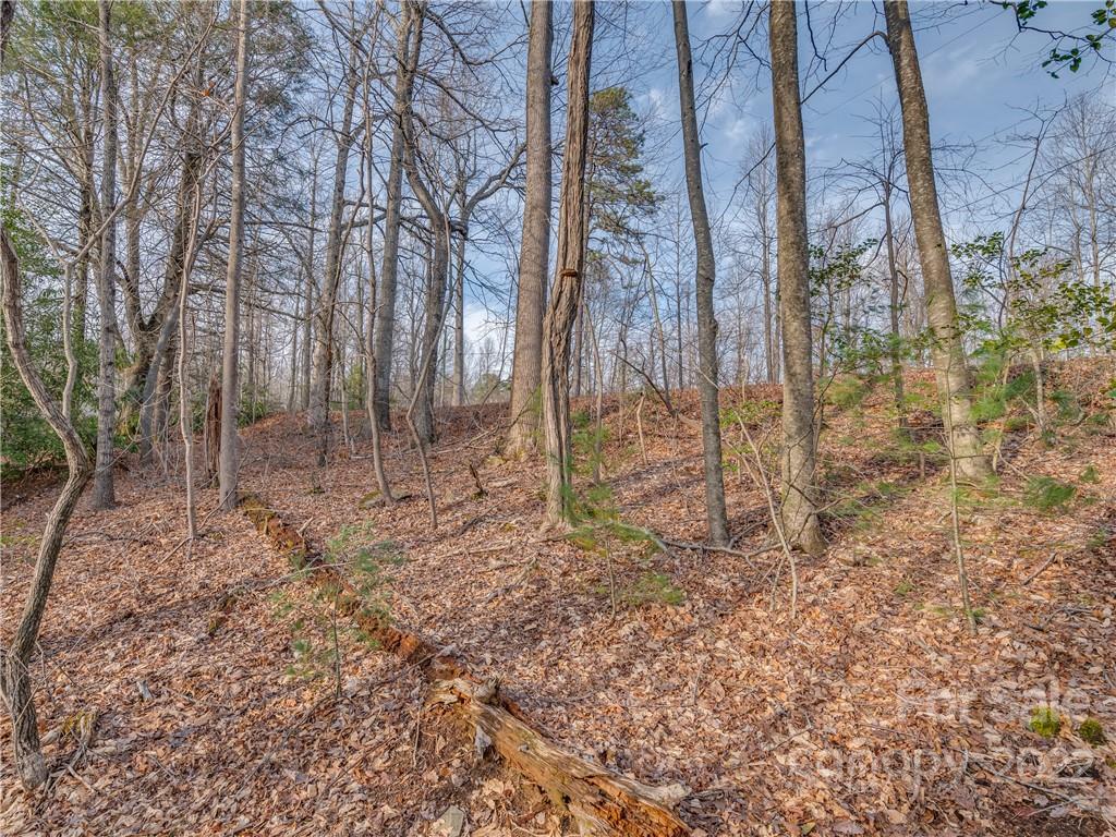 490 Maybank Road, Unit B Saluda, NC 28773 - Photo 10 of 14 Gallery Image 10