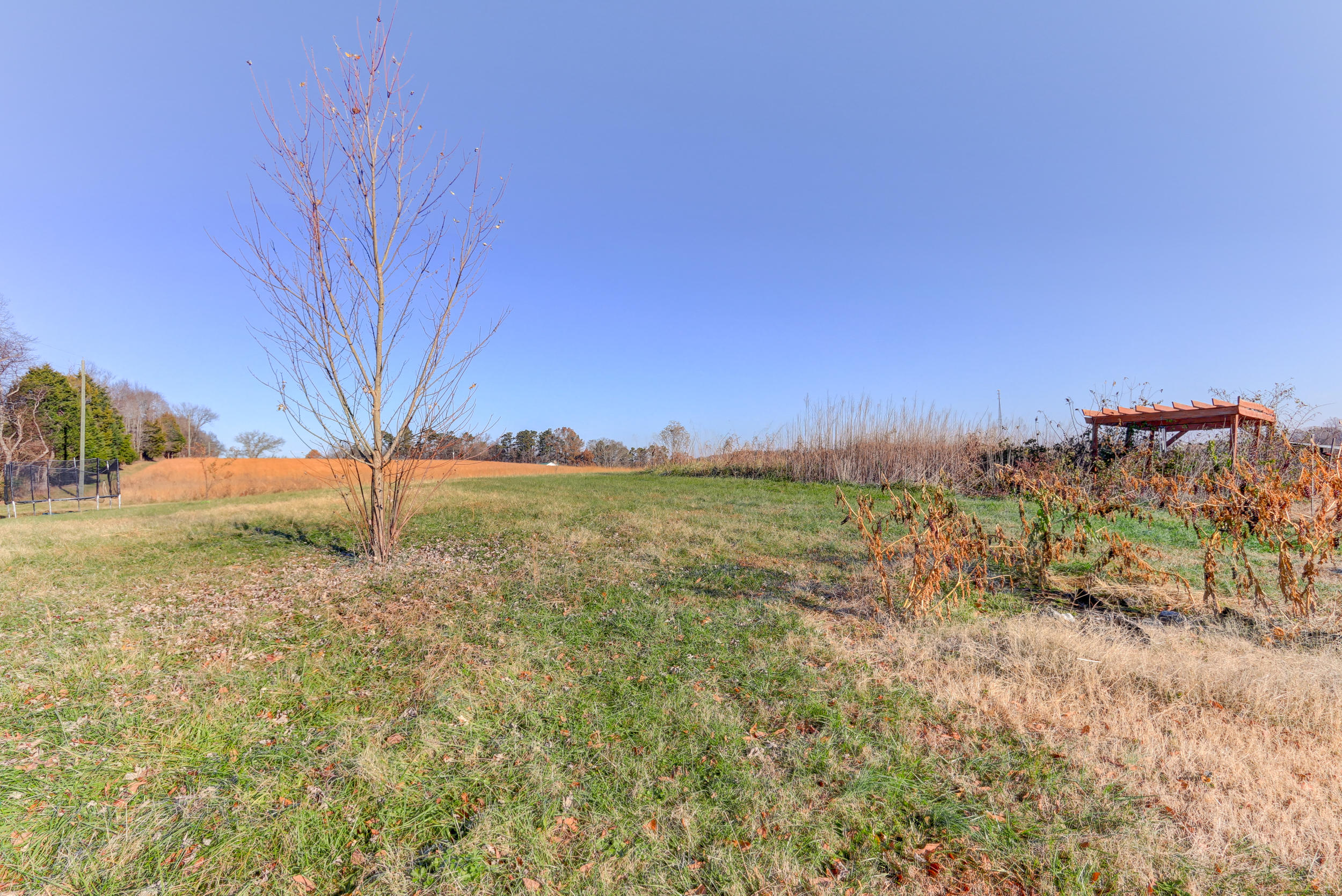 795 Zirkle Road Dandridge, TN 37725 - Photo 13 of 27 Positive Perceptions-28