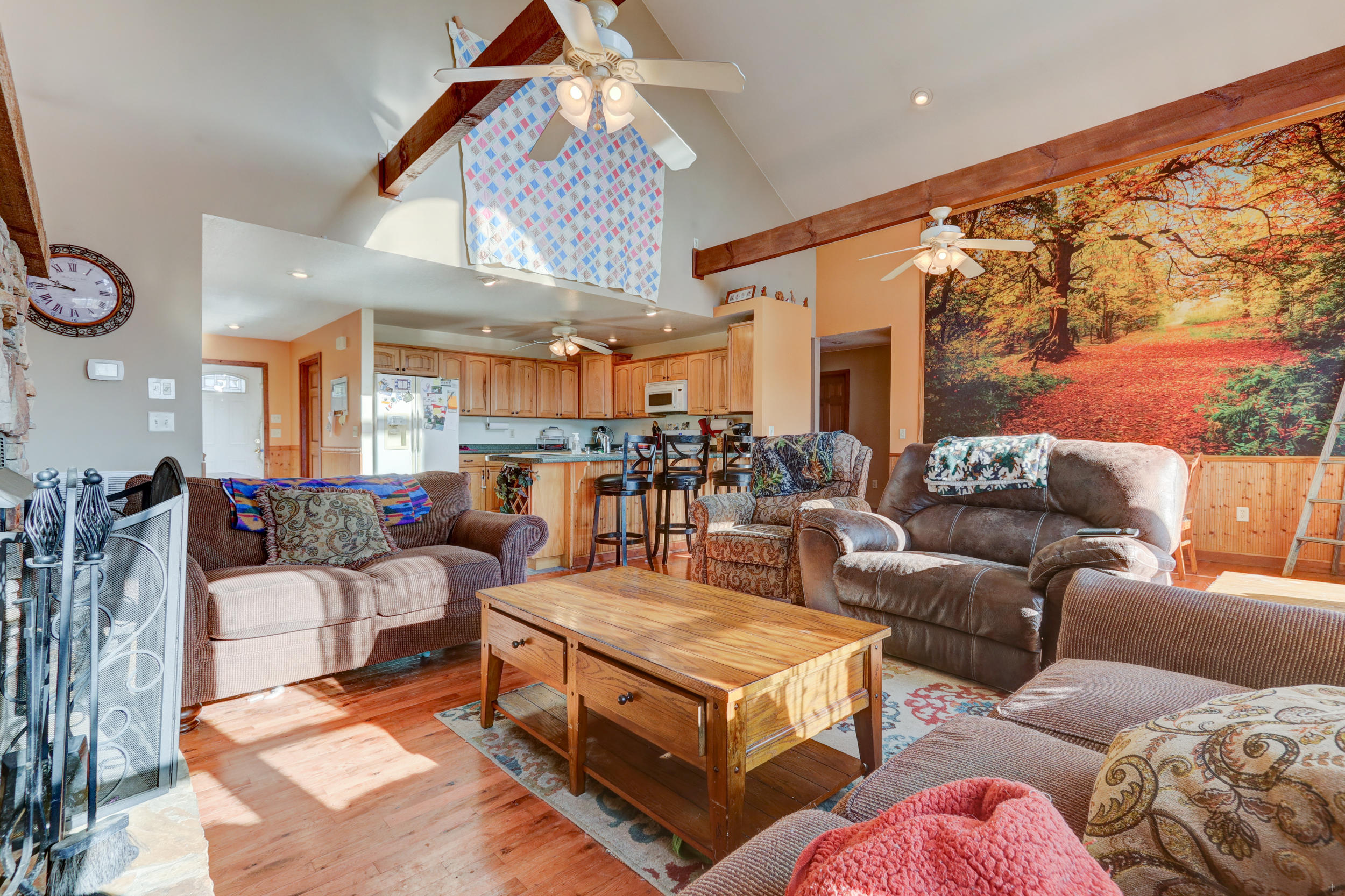 795 Zirkle Road Dandridge, TN 37725 - Photo 4 of 27 Positive Perceptions-6