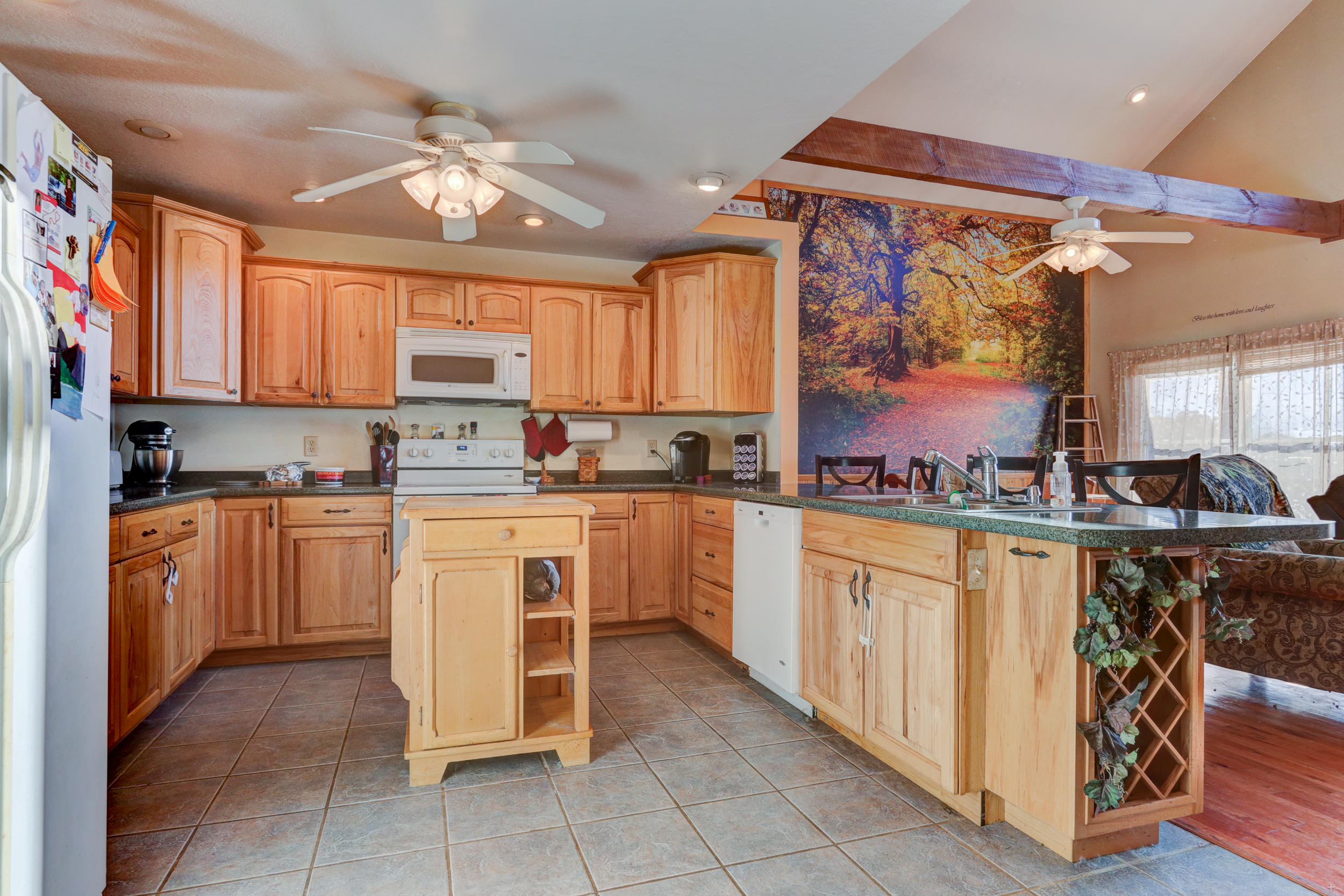 795 Zirkle Road Dandridge, TN 37725 - Photo 7 of 27 Positive Perceptions-9