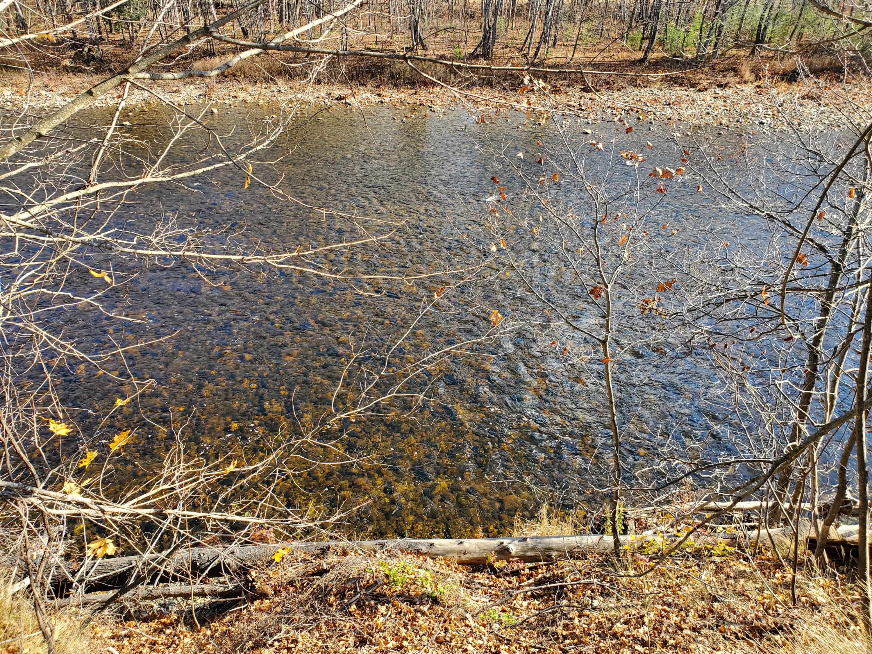 58 Farmington Road Strong, ME 04983 - Photo 41 of 47 20191104_120555