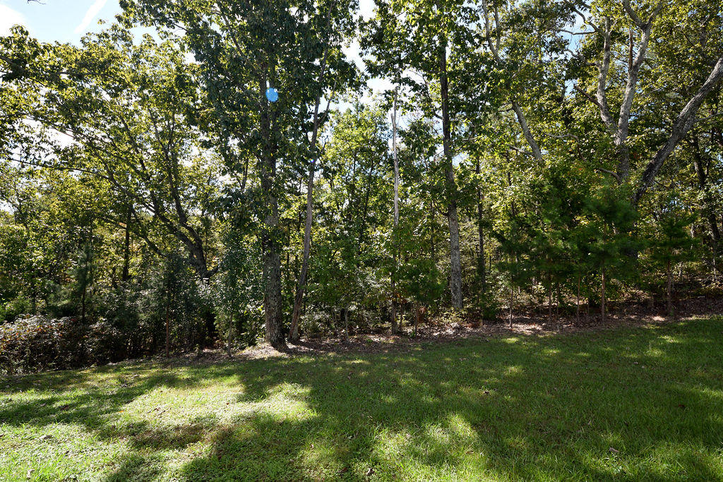 7261 British Road Ooltewah, TN 37363 - Photo 12 of 43 DSC_2114