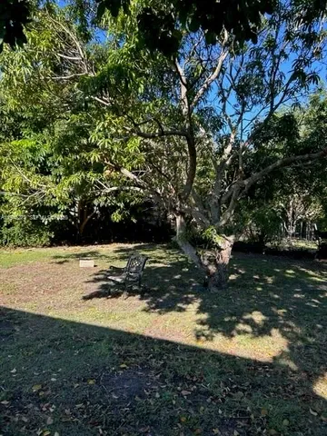 a view of a yard with an outdoor space