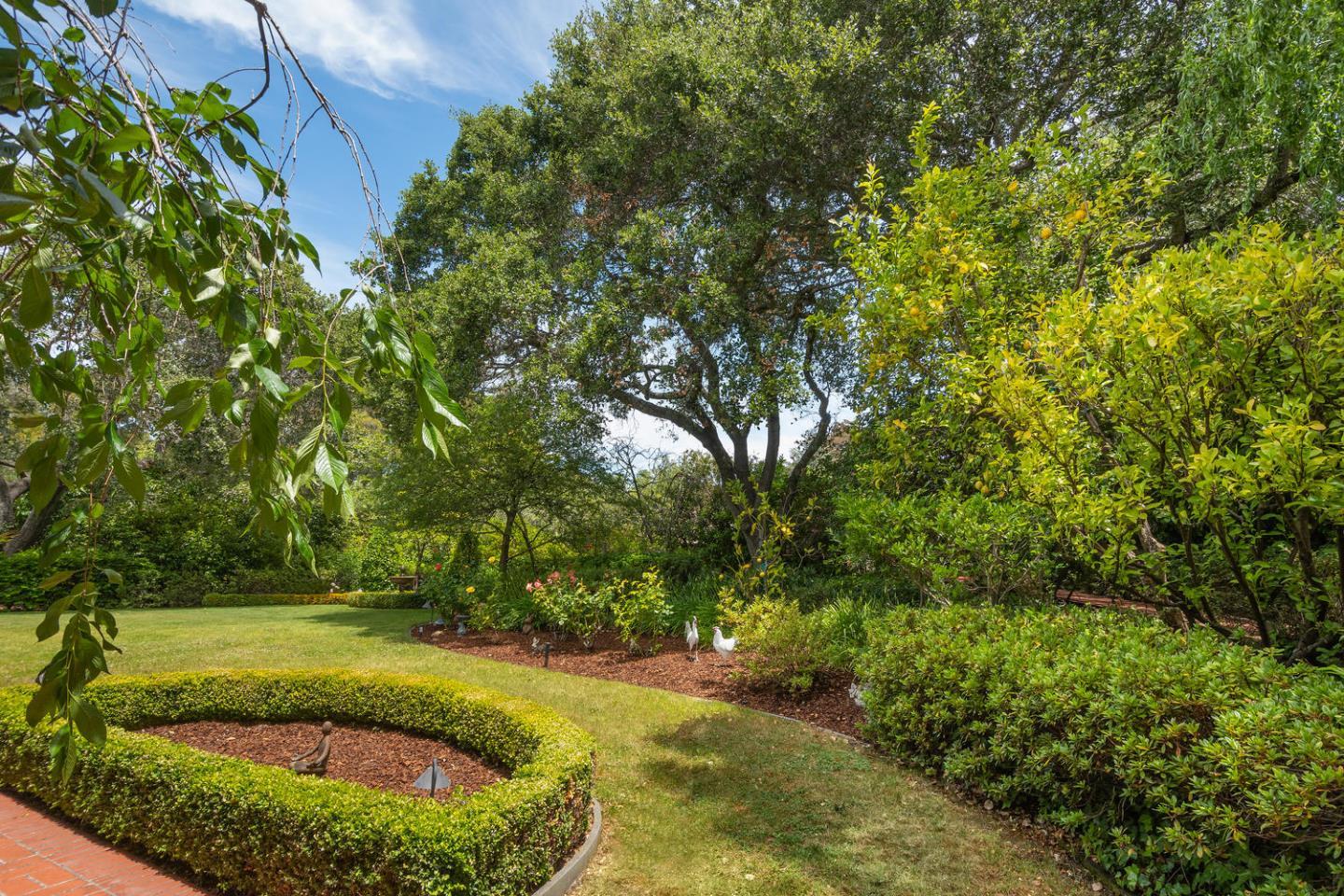 720 Eucalyptus Avenue Hillsborough, CA 94010 - Photo 45 of 48 a view of a garden with large trees