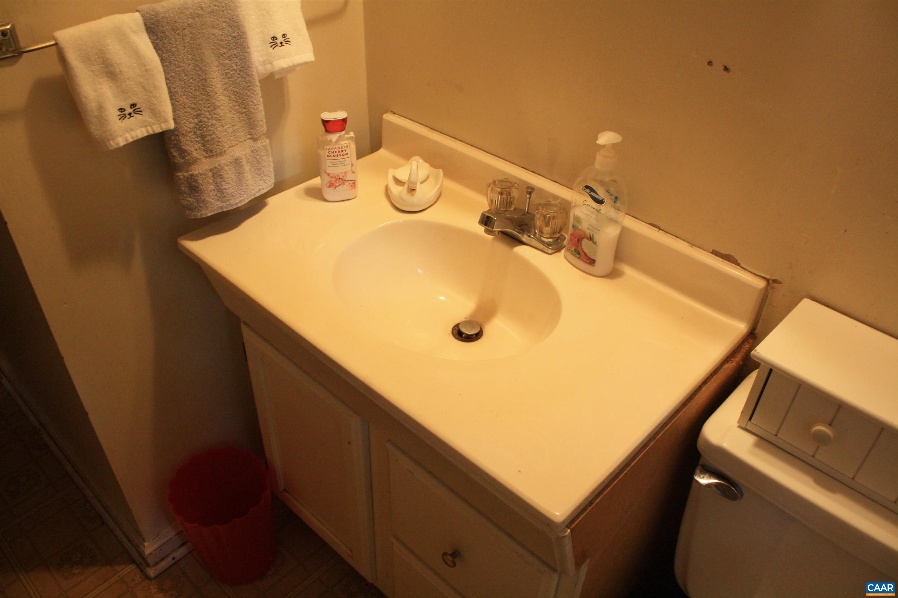 1641 Meridian Street Charlottesville, VA 22902 - Photo 12 of 21 a bathroom with a sink and mirror