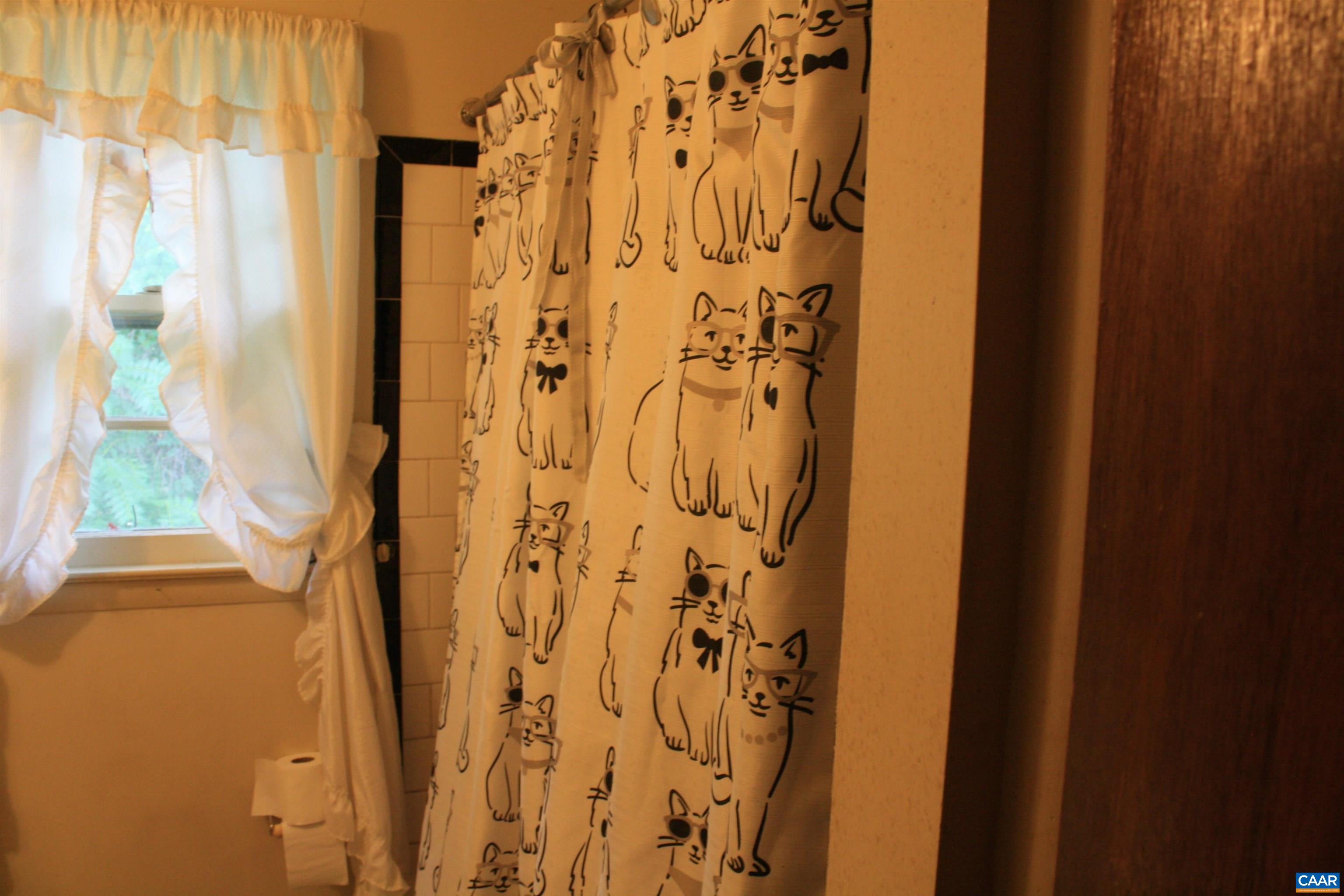 1641 Meridian Street Charlottesville, VA 22902 - Photo 13 of 21 a view of shower curtain