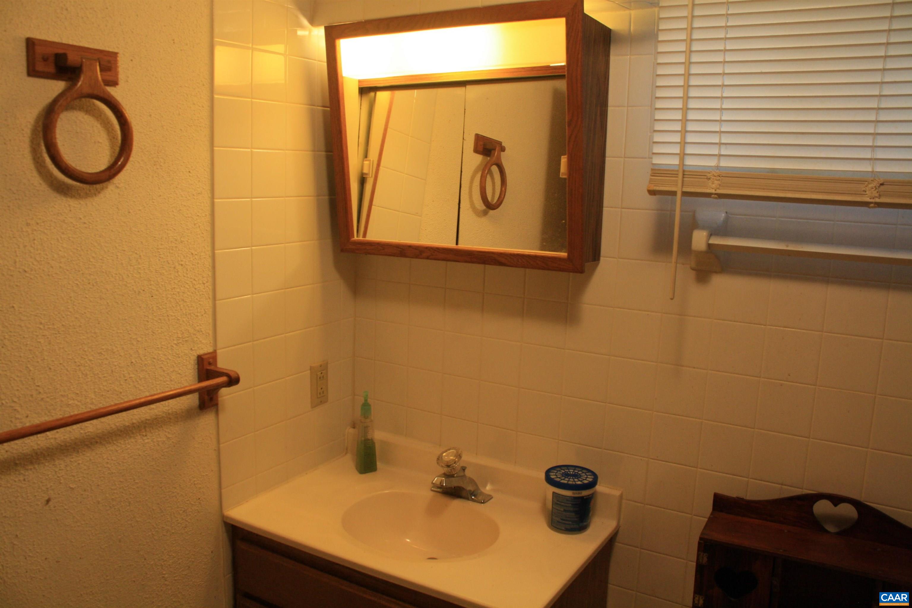 1641 Meridian Street Charlottesville, VA 22902 - Photo 16 of 21 a bathroom with a sink and a mirror