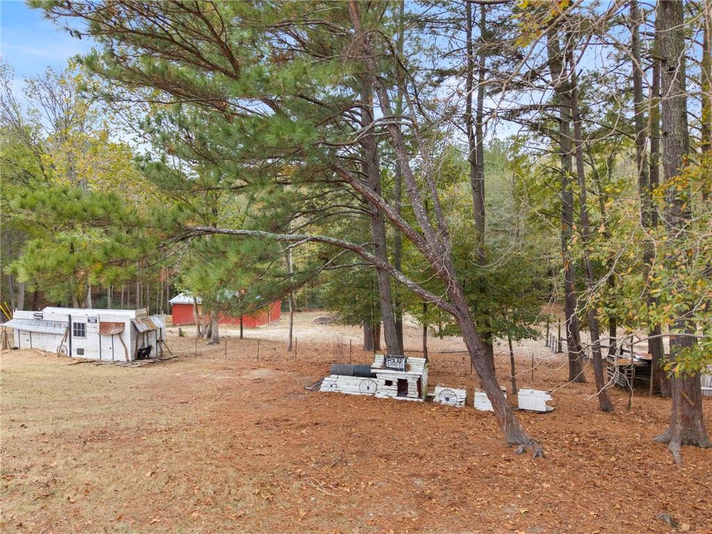 791 Polk Lane Dallas, GA 30132 - Photo 80 of 100