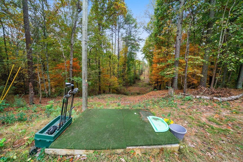 791 Polk Lane Dallas, GA 30132 - Photo 85 of 100