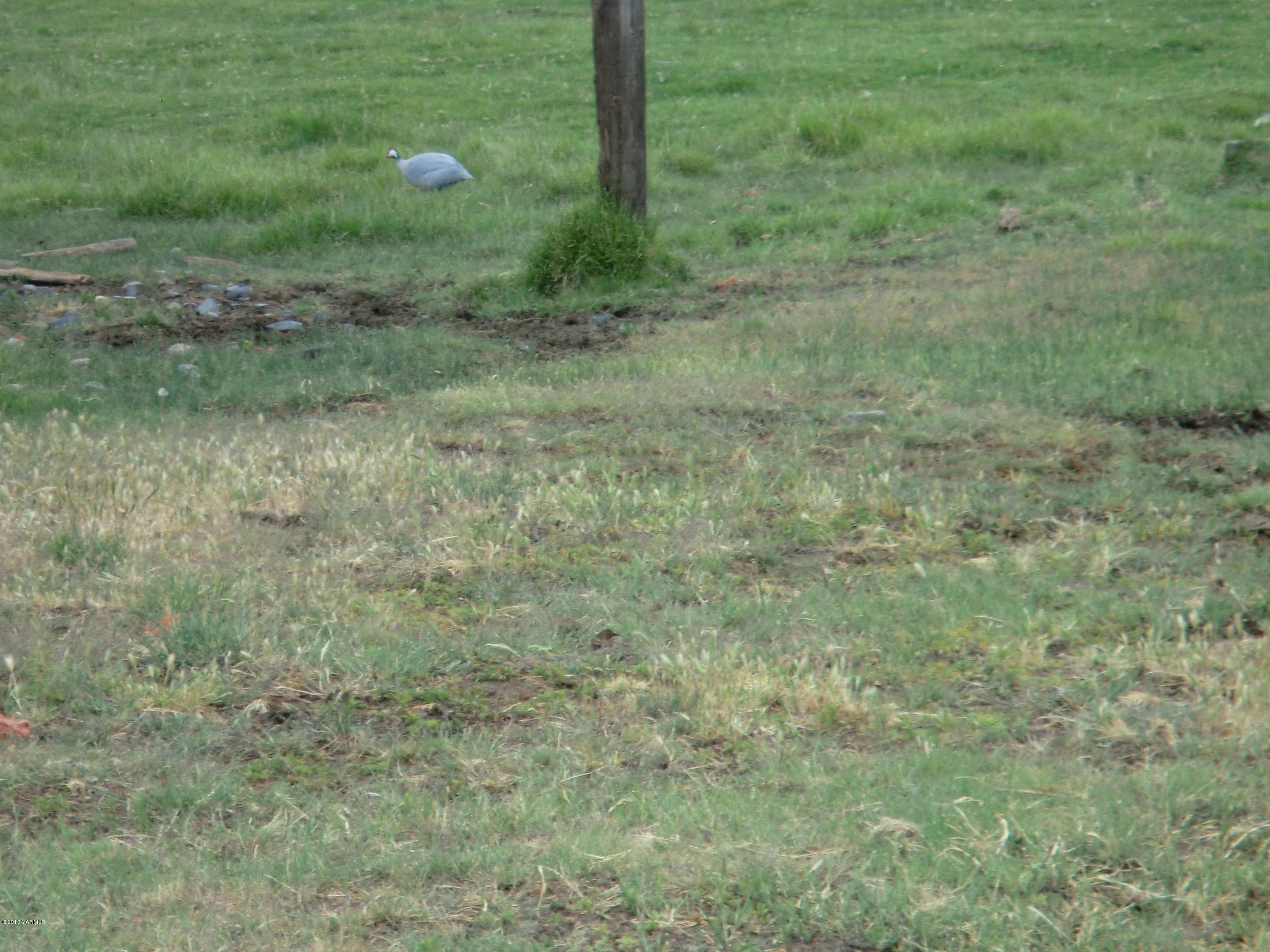1030 Shields Road Wapato, WA 98951 - Photo 17 of 32 013