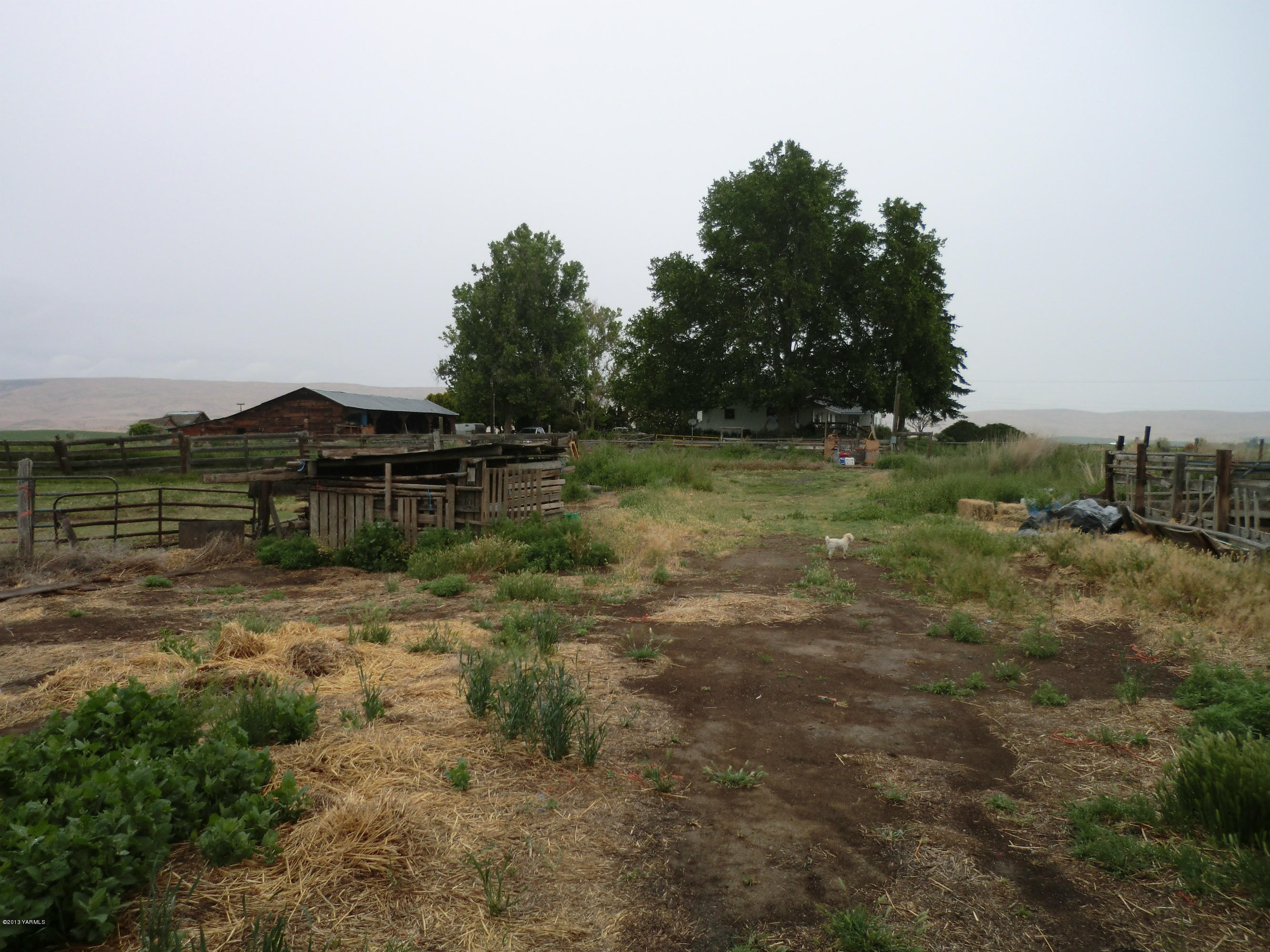 1030 Shields Road Wapato, WA 98951 - Photo 23 of 32 019