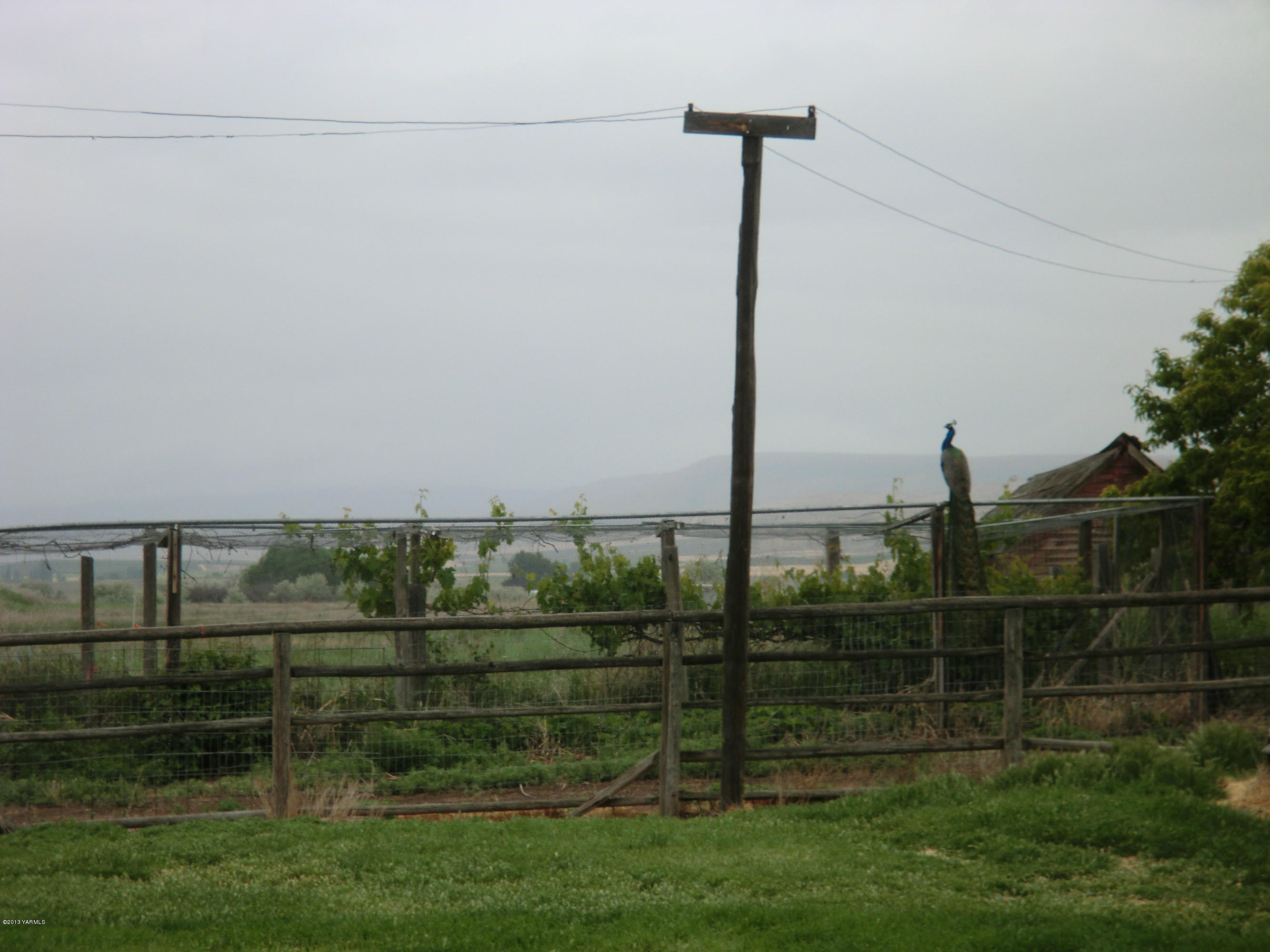 1030 Shields Road Wapato, WA 98951 - Photo 24 of 32 020