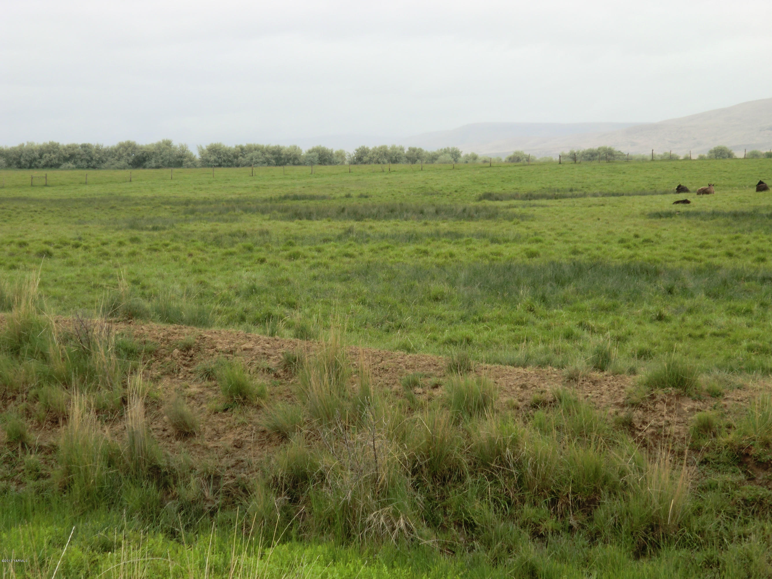 1030 Shields Road Wapato, WA 98951 - Photo 8 of 32 003