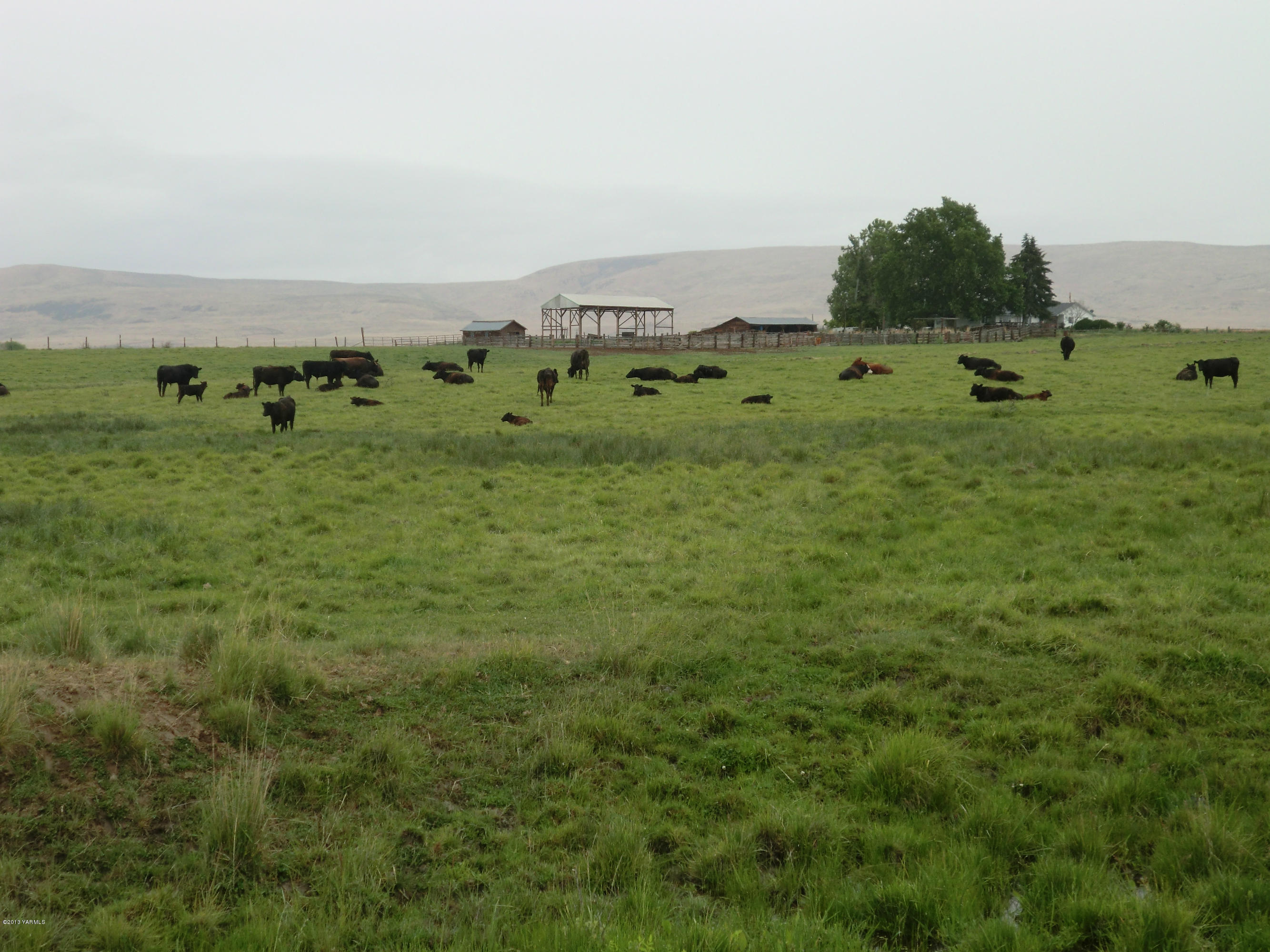 1030 Shields Road Wapato, WA 98951 - Photo 9 of 32 004