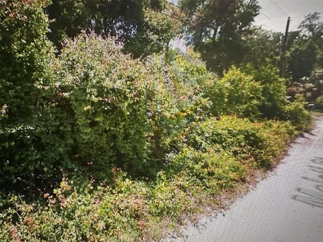 a view of a bunch of trees