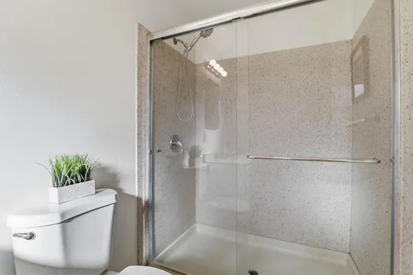 a bathroom with a shower and a toilet