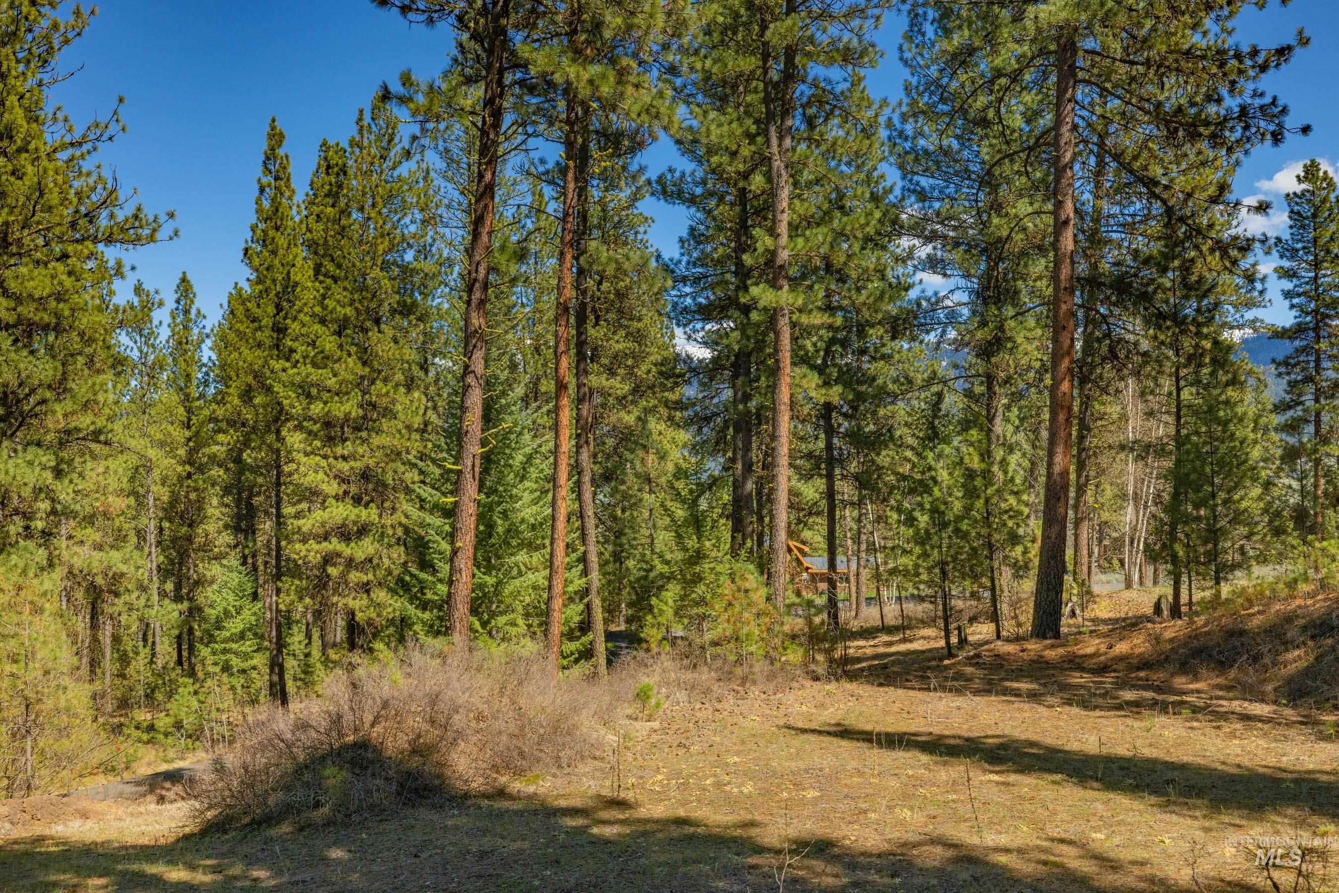 Lot 27 Hot Springs Road New Meadows, ID 83654 - Photo 10 of 23