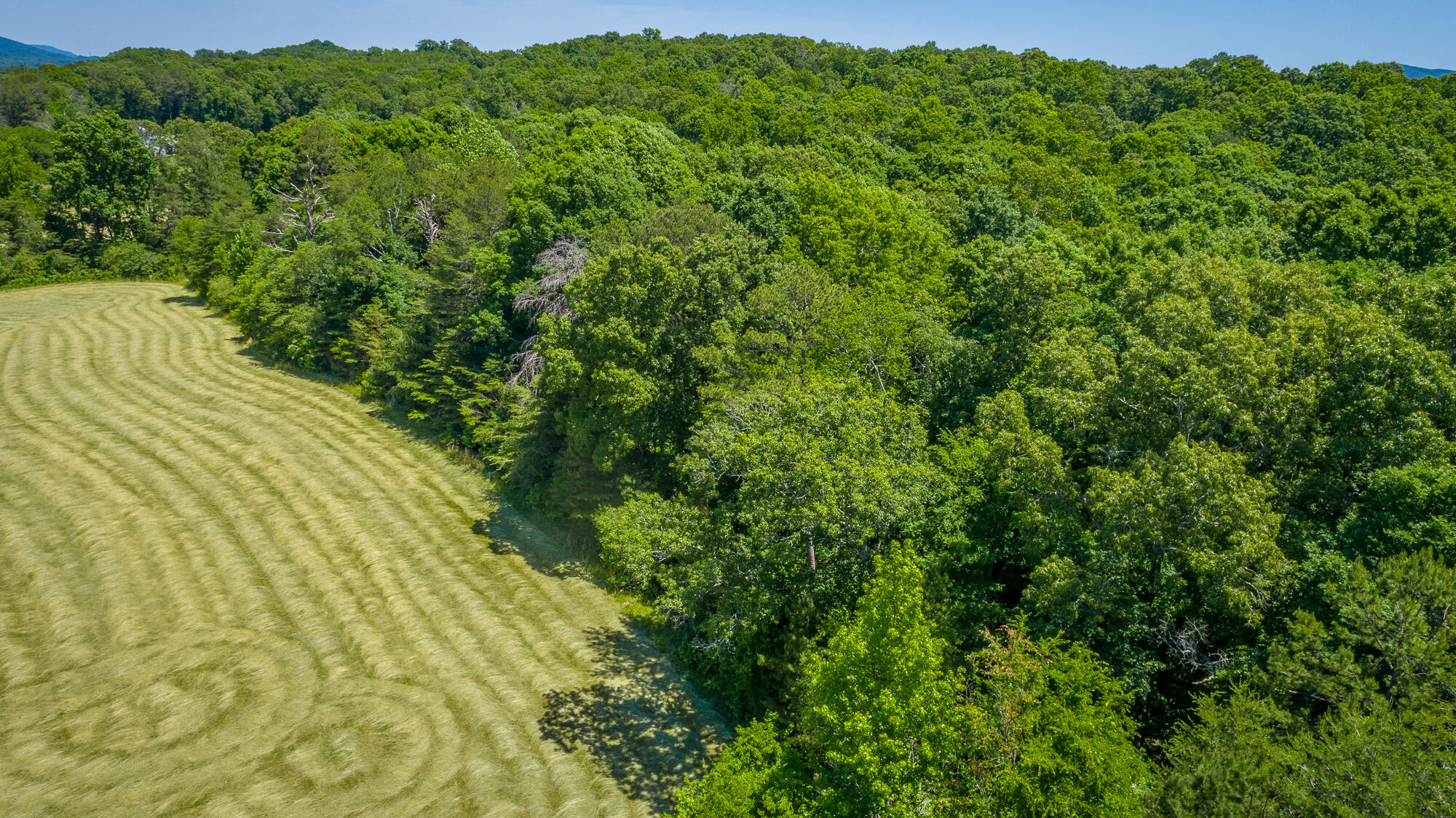 1655 West Cove Road Chickamauga, GA 30707 - Photo 47 of 62 1655 W Cove Road HD-6