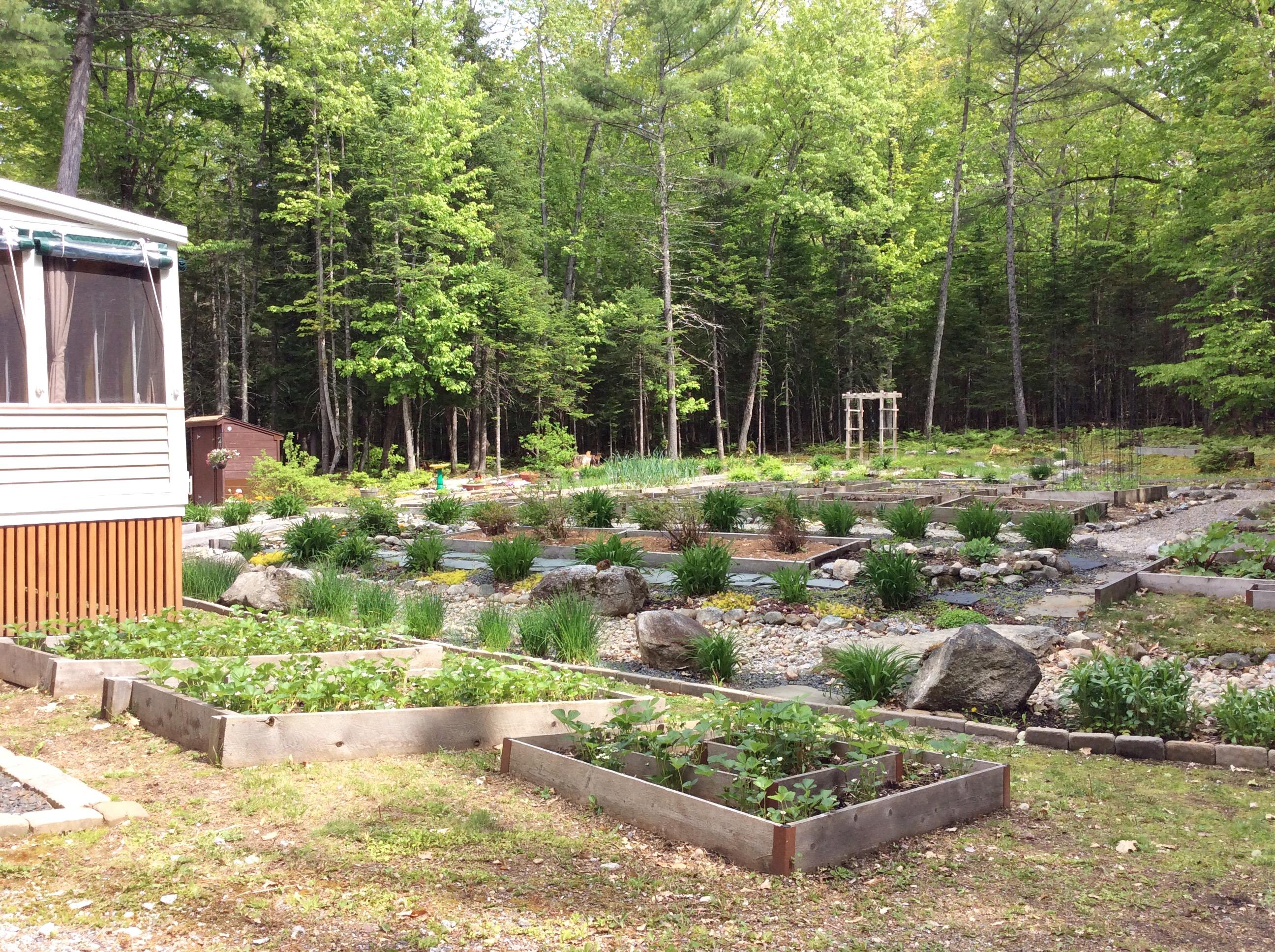 160 Lee Gray Road Harrison, ME 04040 - Photo 27 of 34 IMG_9589