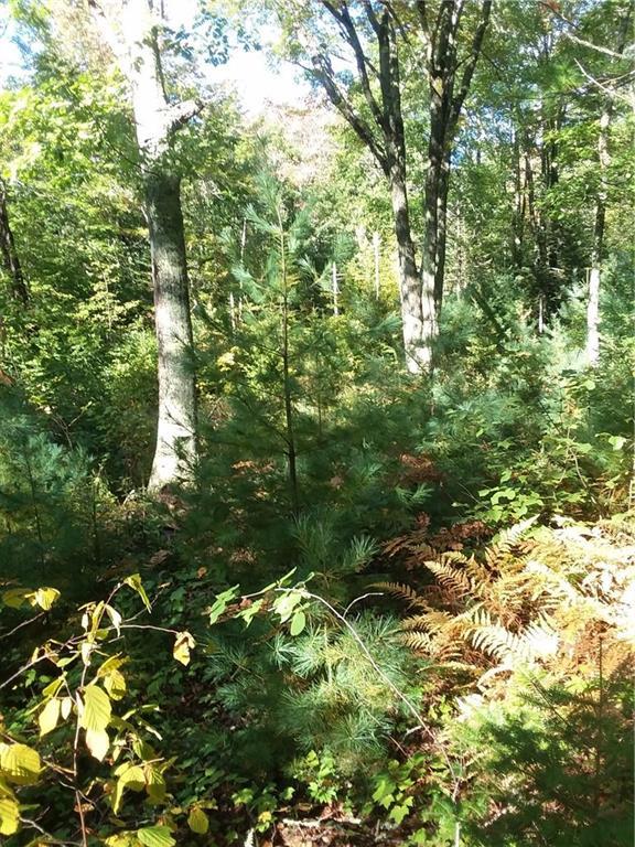 88 Browns Cove Road Round Pond, ME 04564 - Photo 4 of 11 More hardwoods than evergreens