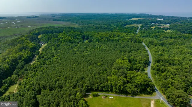 a view of a lush green space