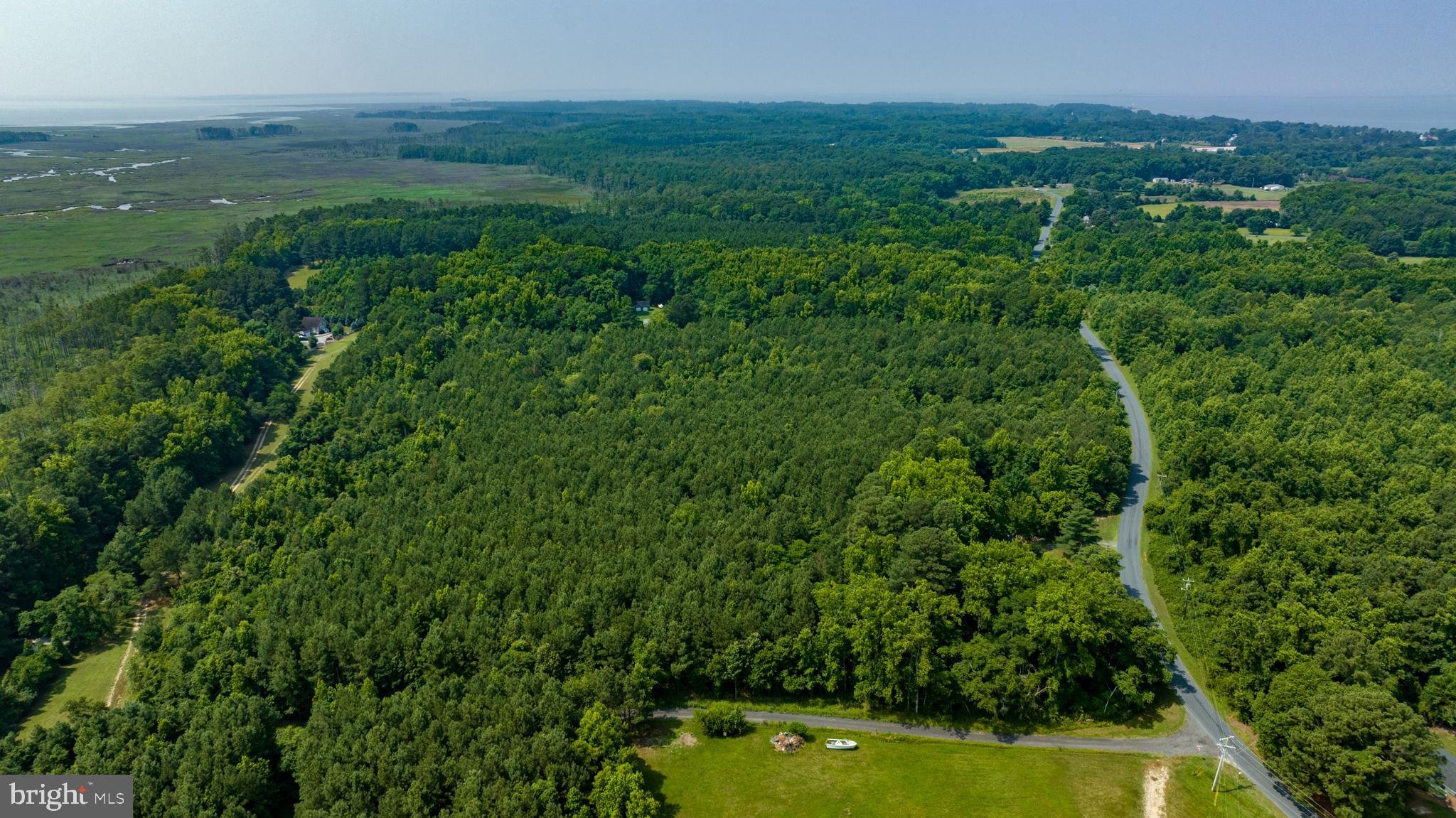 0 Jesterville Road Bivalve, MD 21814 - Photo 13 of 25 a view of a big yard with plants and large trees