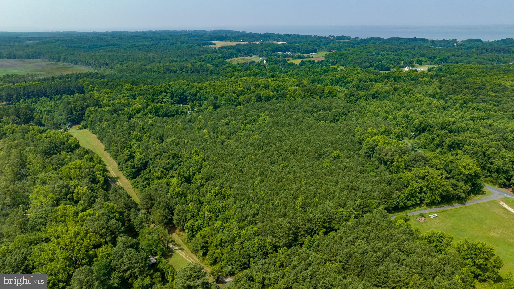 0 Jesterville Road Bivalve, MD 21814 - Photo 14 of 25 a view of a lush green space