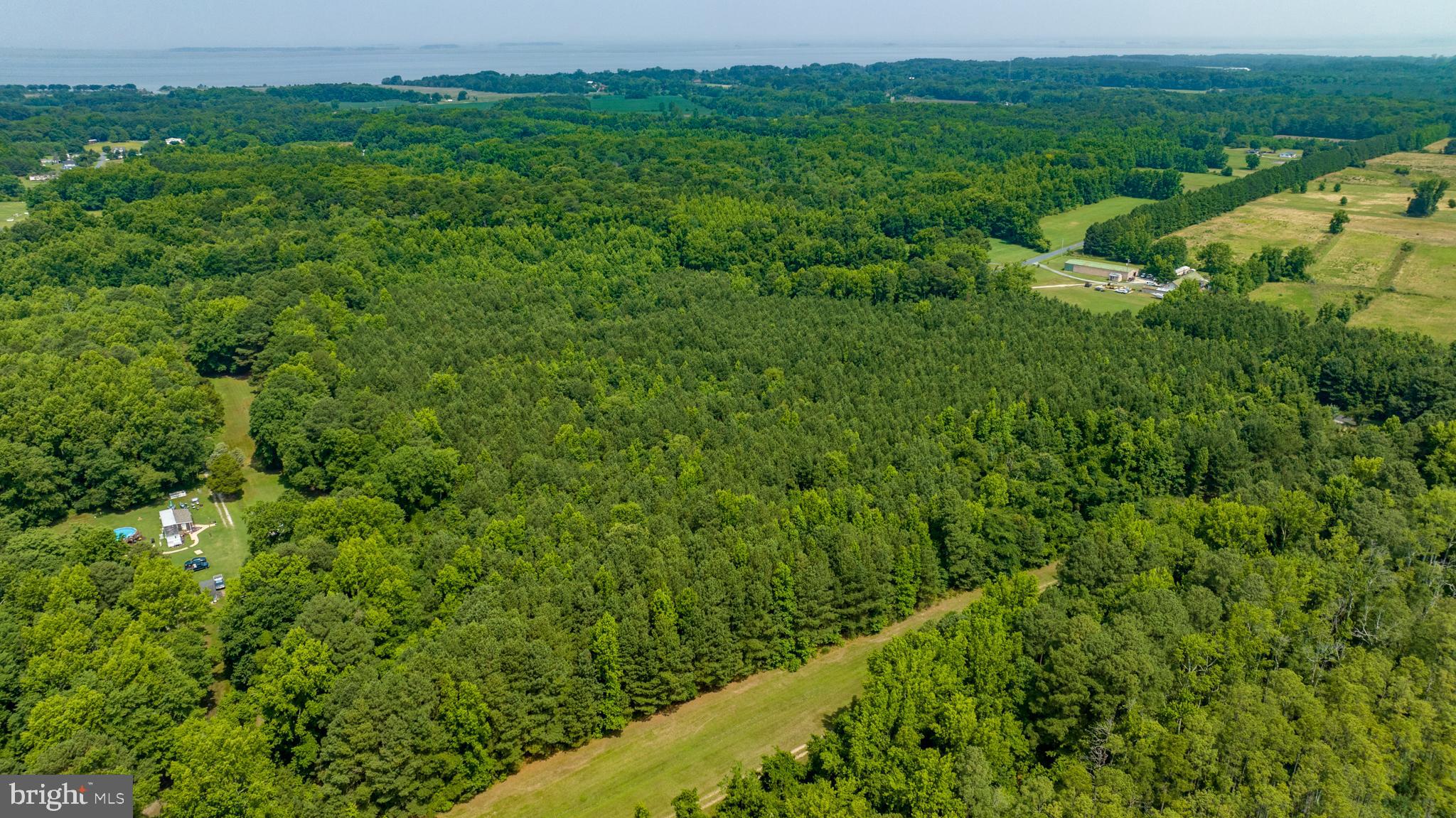 0 Jesterville Road Bivalve, MD 21814 - Photo 17 of 25 a view of a lush green forest with trees and grass