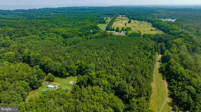 an aerial view of a houses with a lush green forest