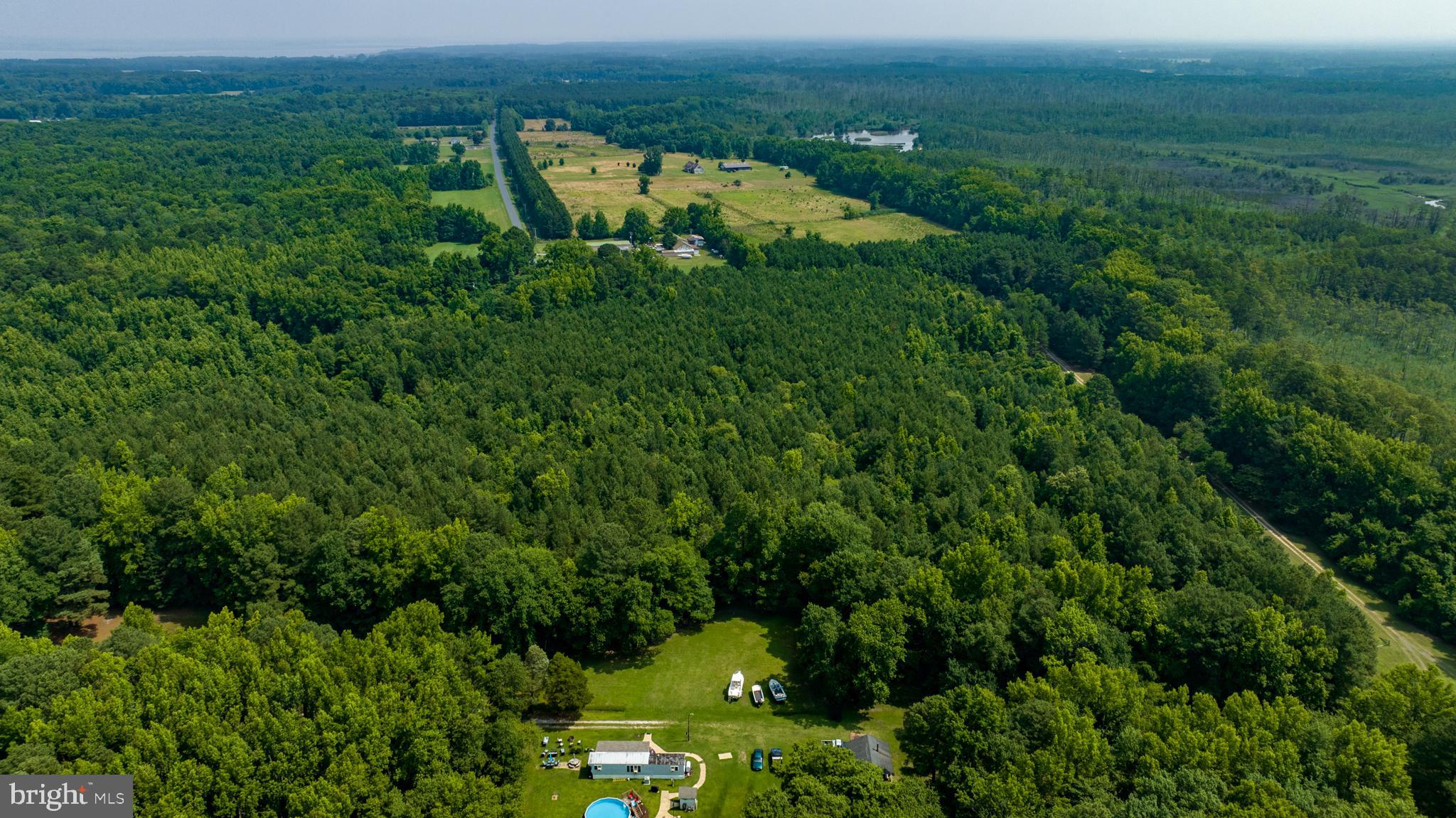 0 Jesterville Road Bivalve, MD 21814 - Photo 19 of 25 an aerial view of a houses with a lush green forest