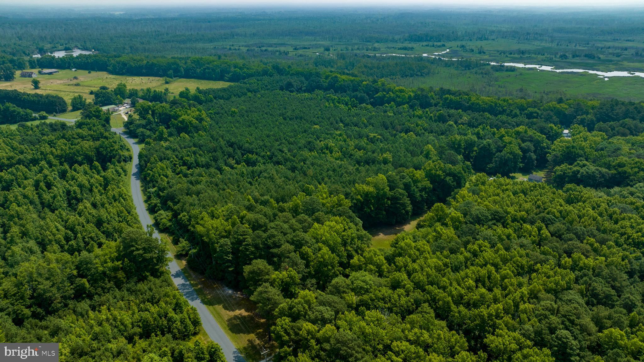 0 Jesterville Road Bivalve, MD 21814 - Photo 20 of 25 an aerial view of residential houses with outdoor space and trees