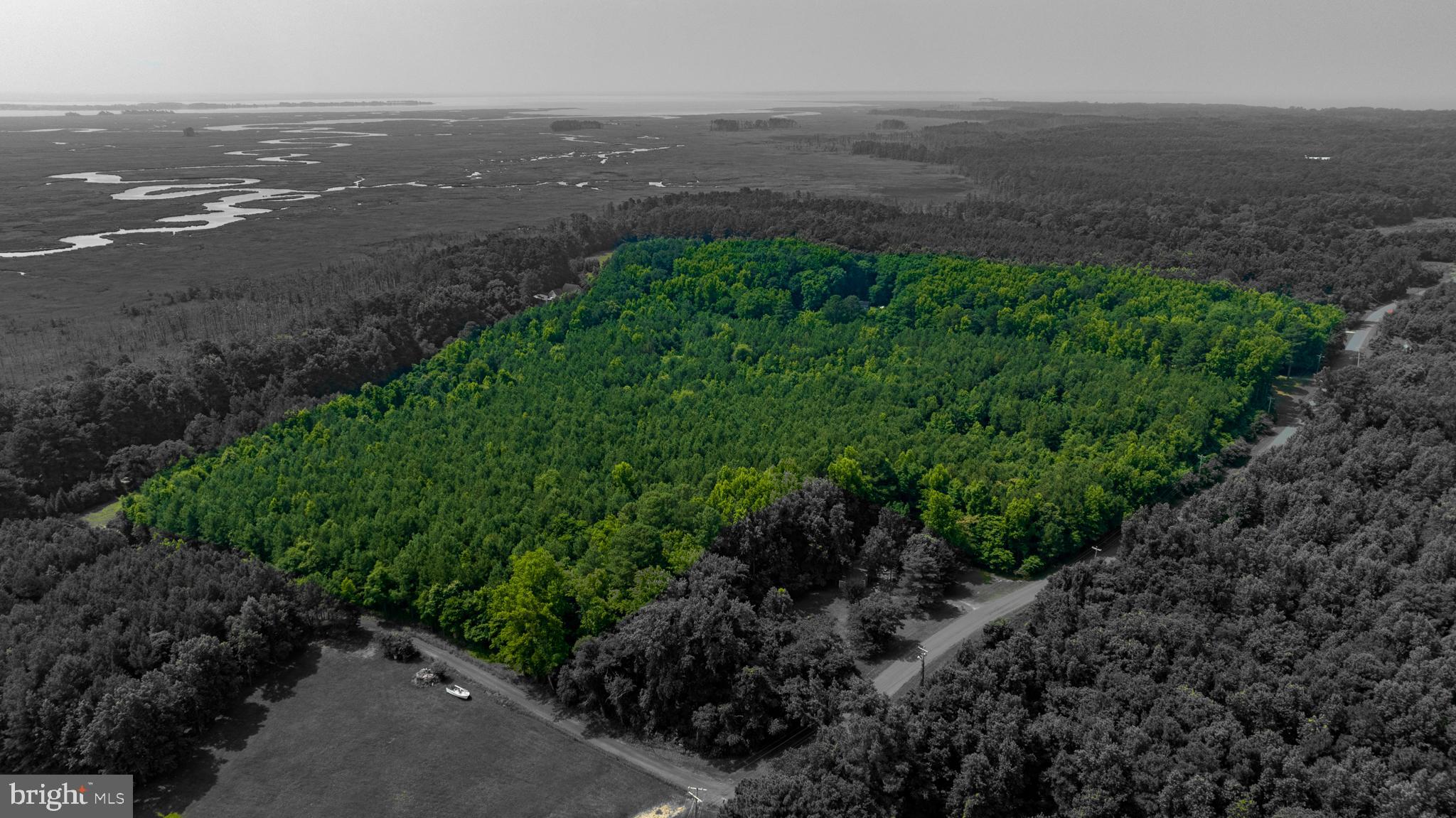 0 Jesterville Road Bivalve, MD 21814 - Photo 2 of 25