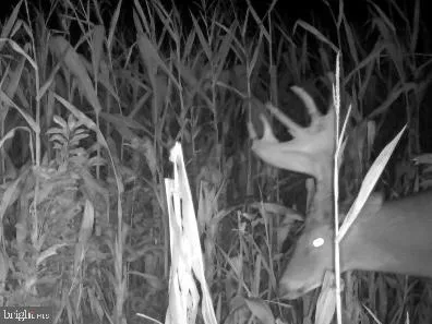 a water heater on the side of a wall