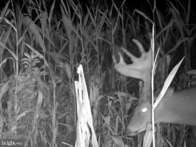 0 Jesterville Road Bivalve, MD 21814 - Photo 22 of 25 a view of an entryway