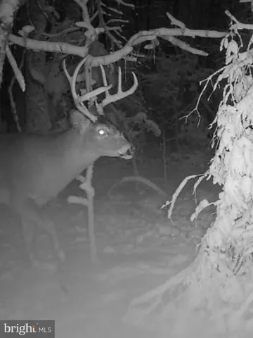 a view of balcony with wooden floor