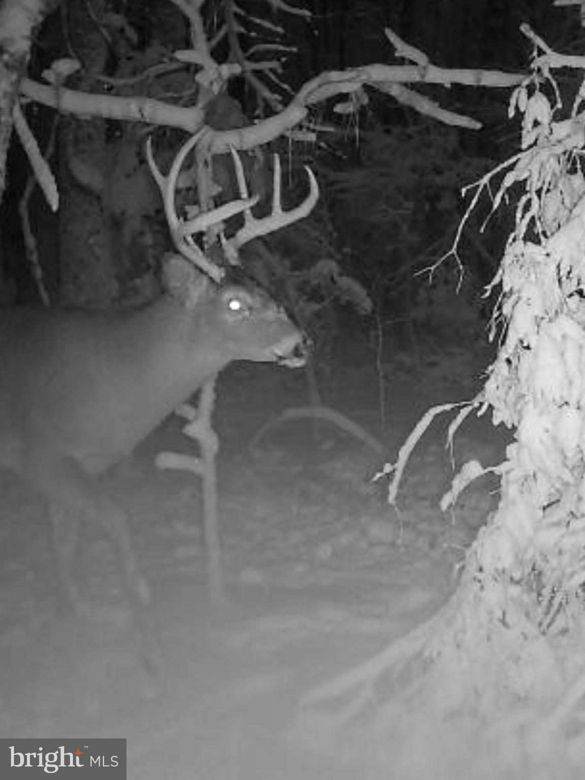 0 Jesterville Road Bivalve, MD 21814 - Photo 23 of 25 a water heater on the side of a wall