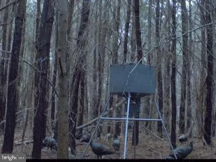 a view of water heater room