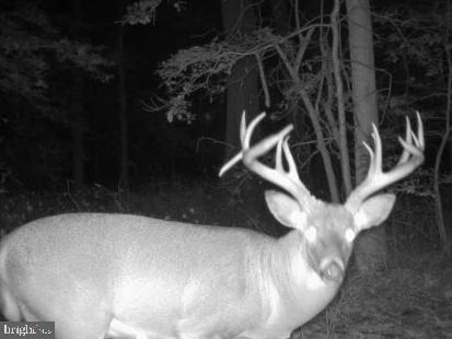 0 Jesterville Road Bivalve, MD 21814 - Photo 25 of 25 a view of water heater room