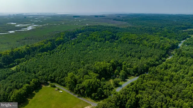 a view of a green field with lots of bushes